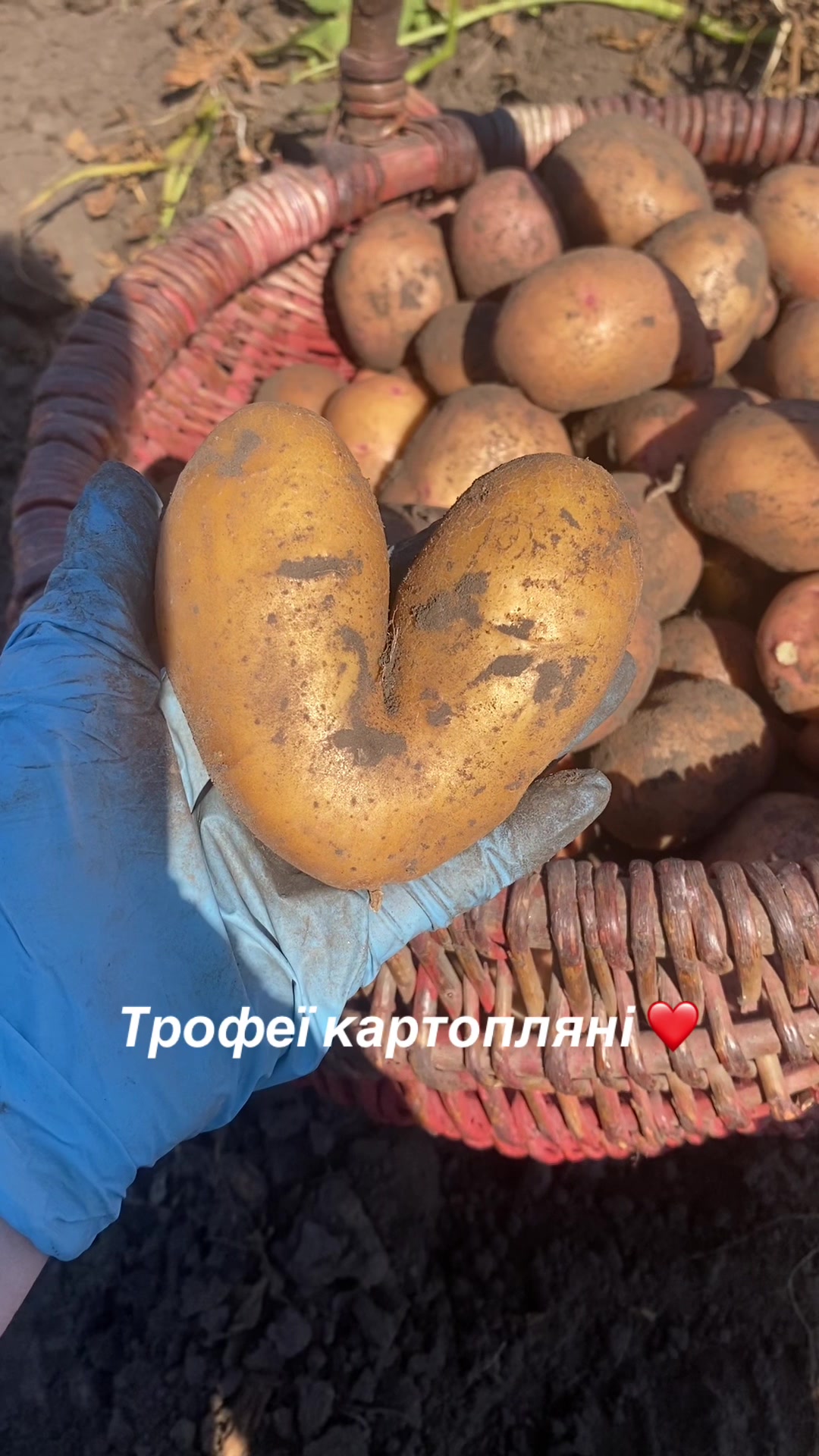 @Valentina