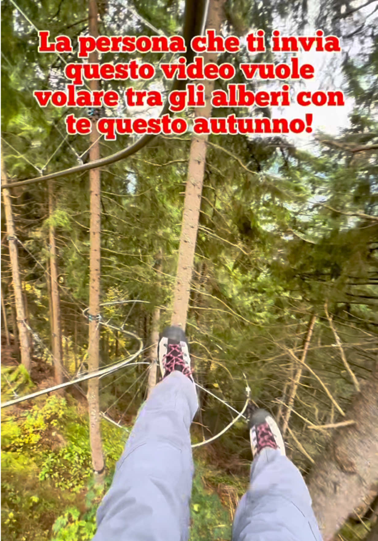 @Lazzaroni On Tour 🚀