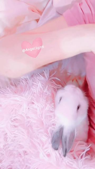 @๐ด๐๐๐๐๐ชฝ