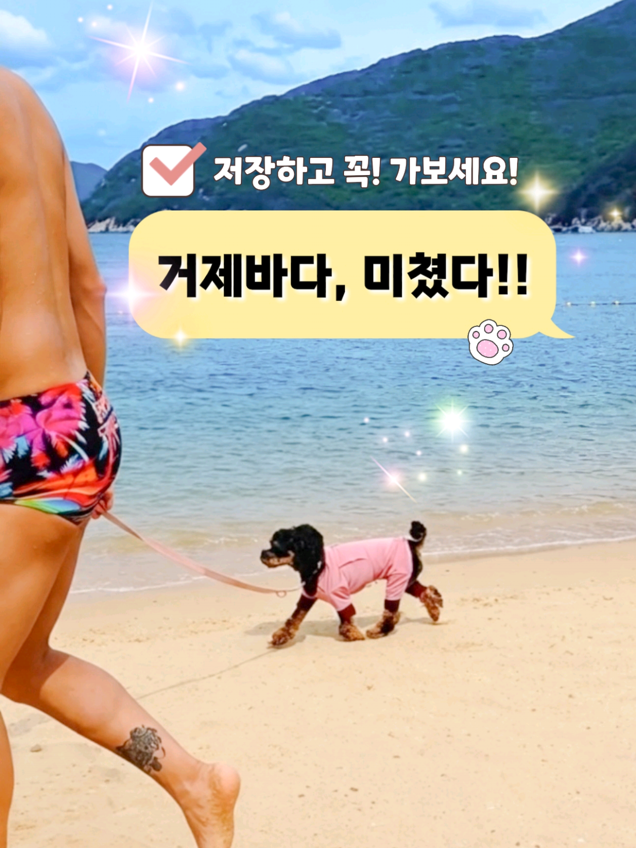 @바로아치 | 강아지와 사는 우리집 🐶
