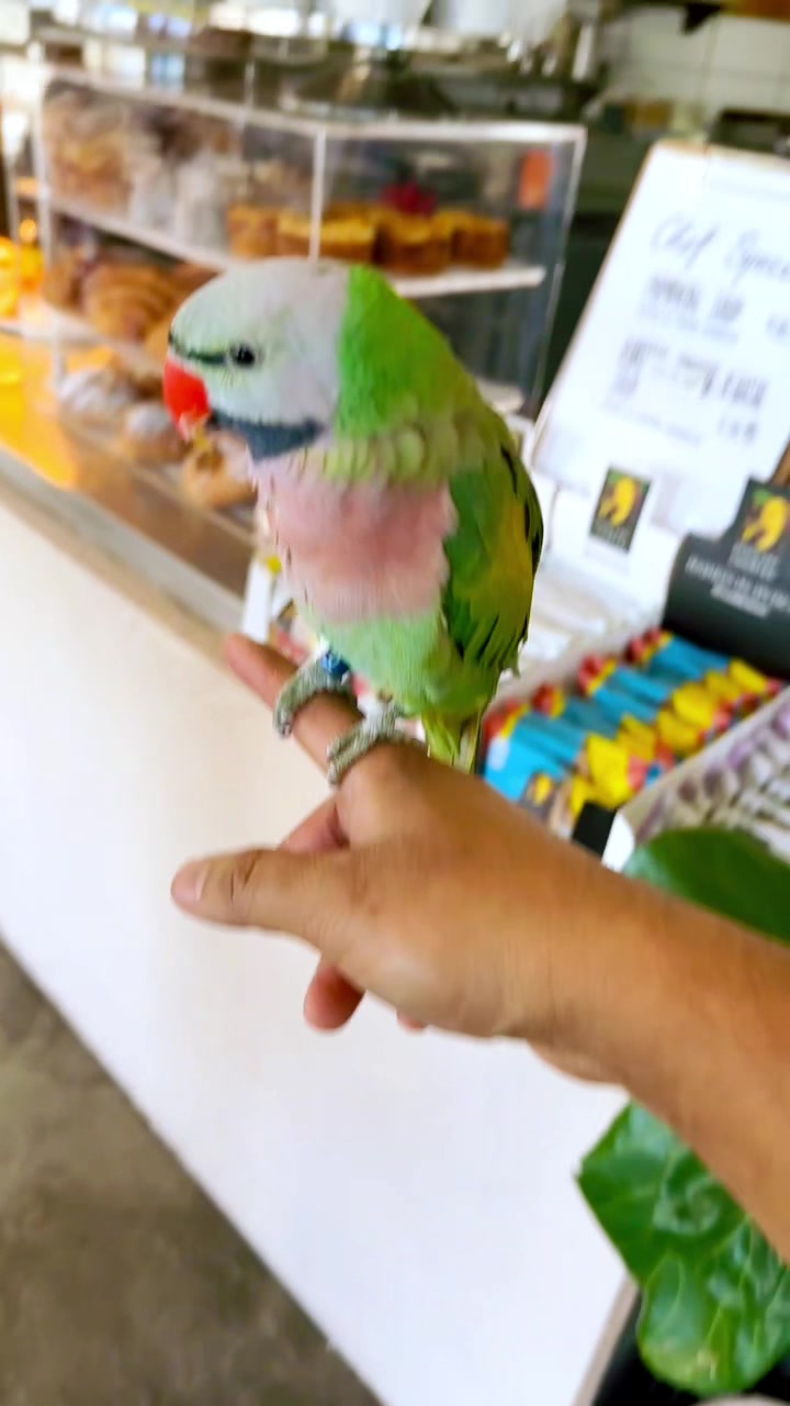 @Deepumhz7🇳🇵🇦🇺