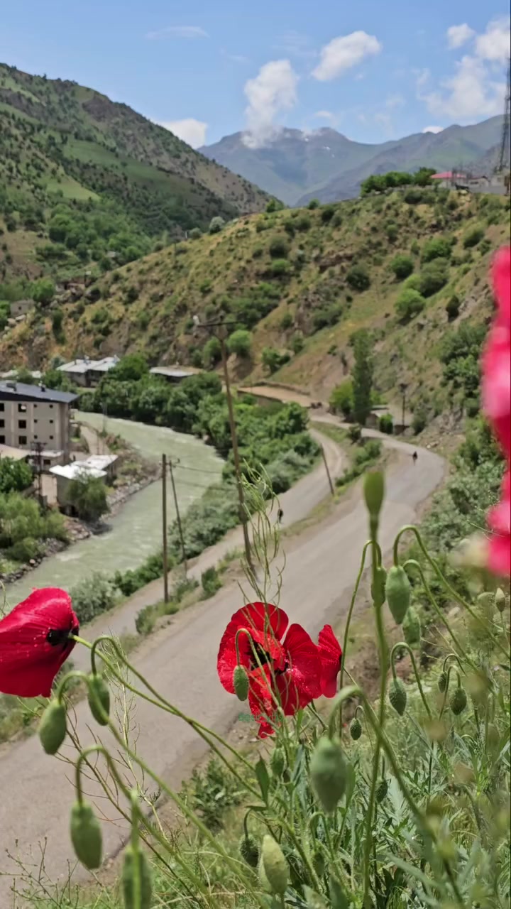 @besir ybş