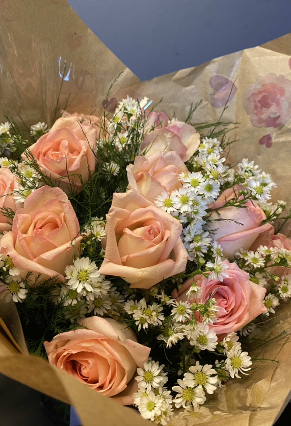@𝓘𝓼𝓪𝓫𝓮𝓵𝓵𝓪 🌻