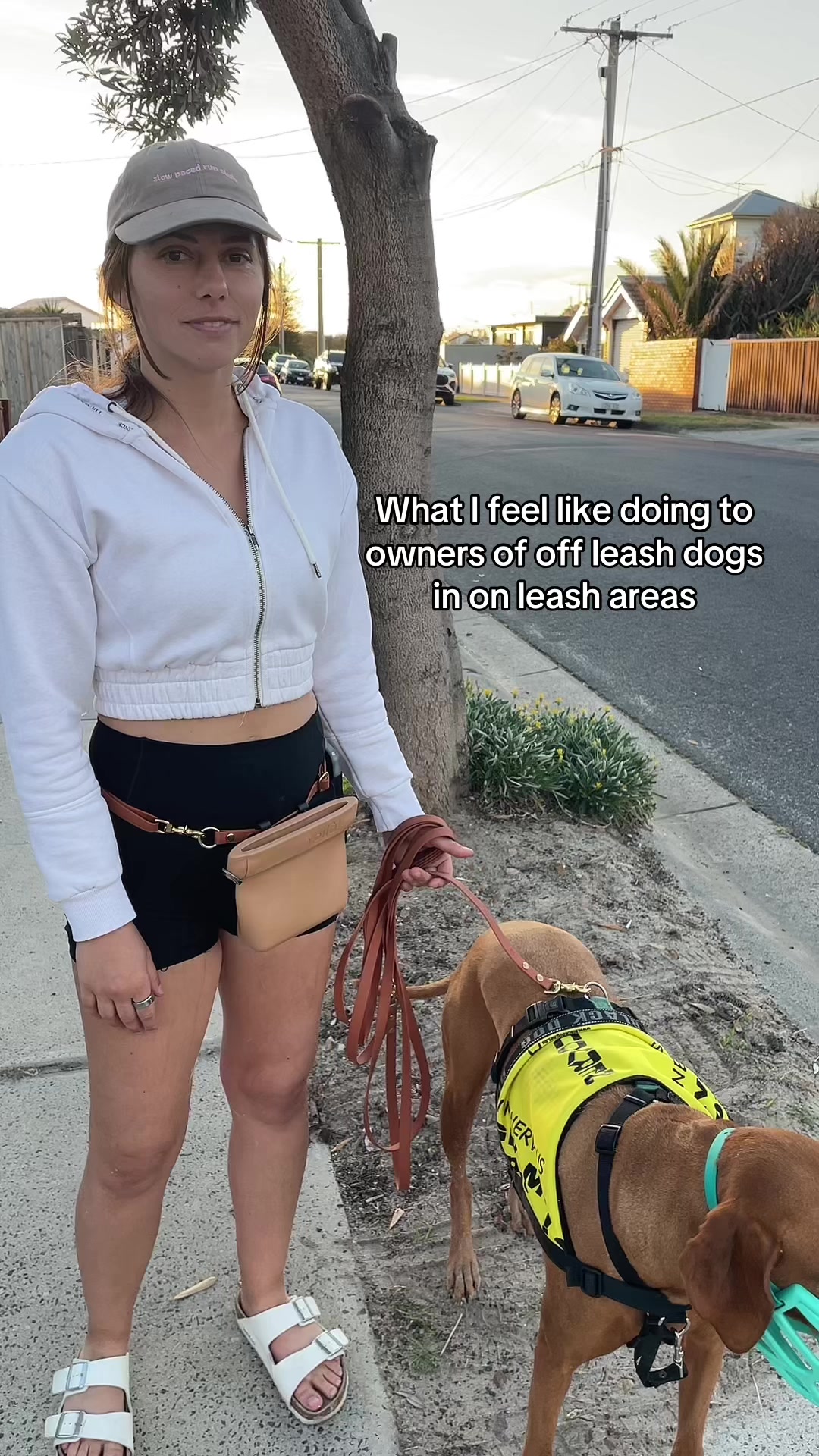 @Chloe’s Canine Co