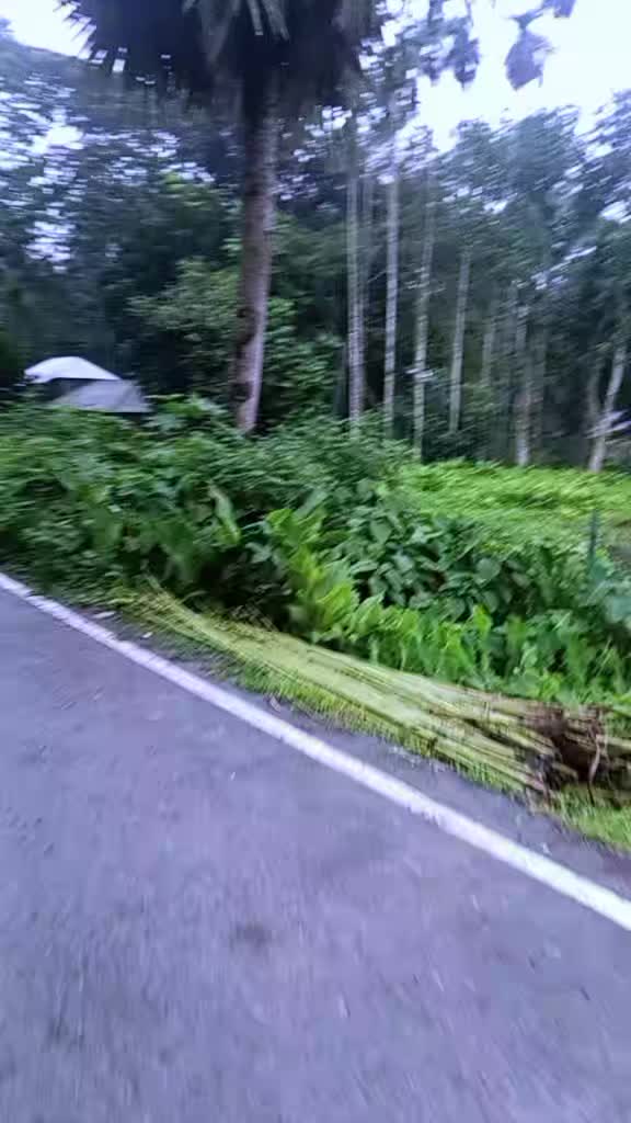 @ভাইরাল করে দেও