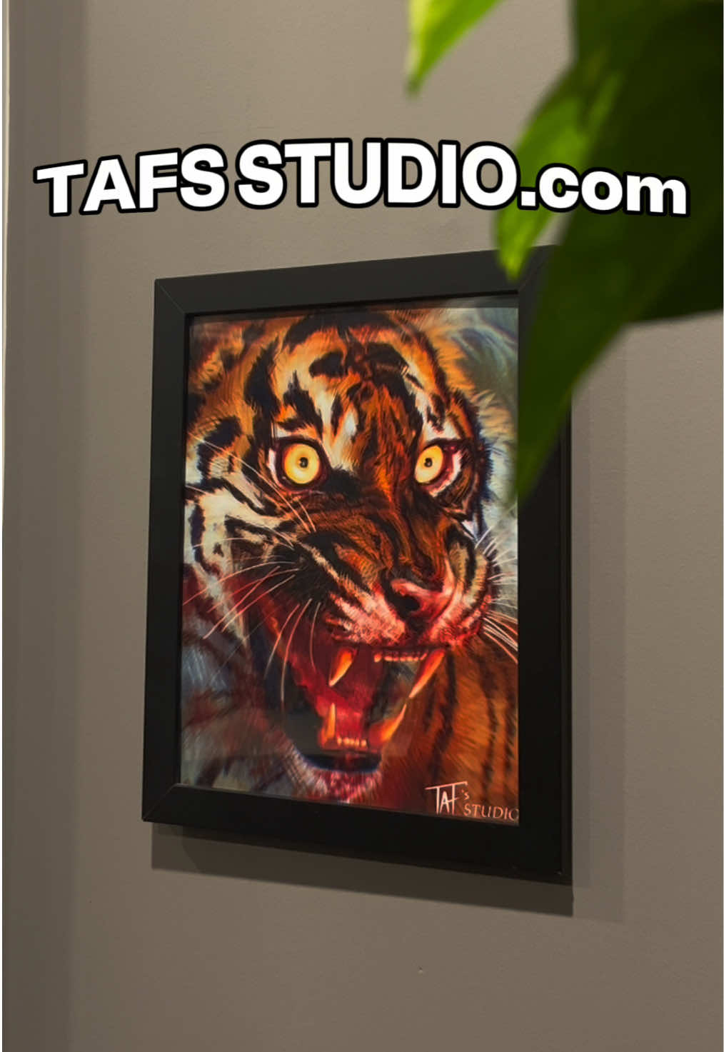 @TAFS_Studio