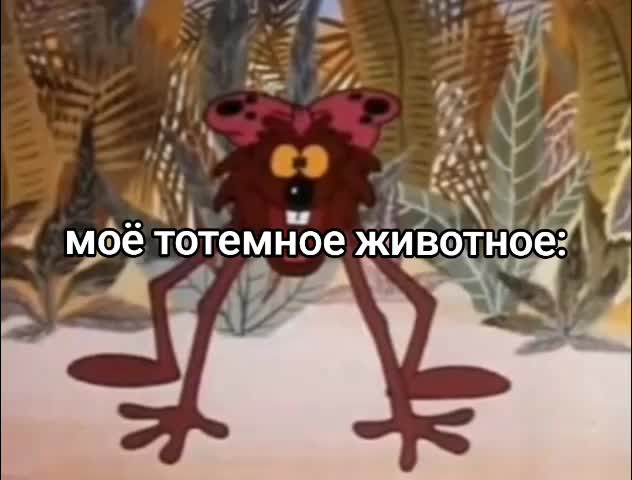 @каф