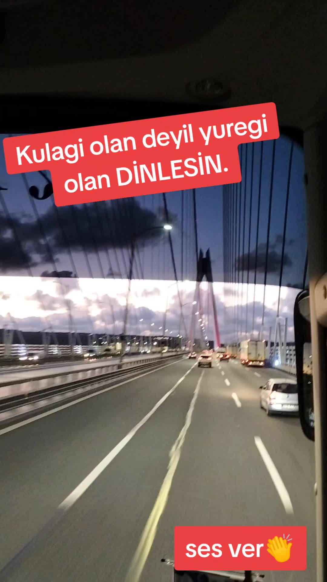 @İstanbul pati dunyasi