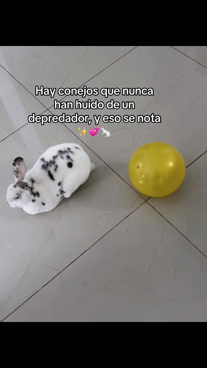 @Soy Luna