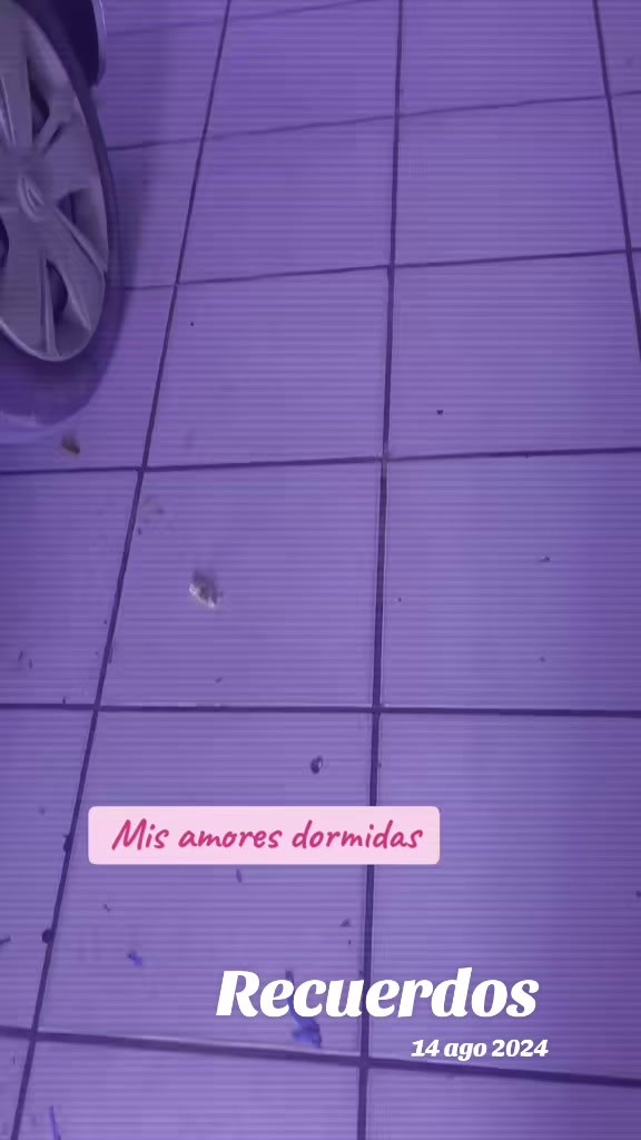 @🎀GαႦιɾυ🎀