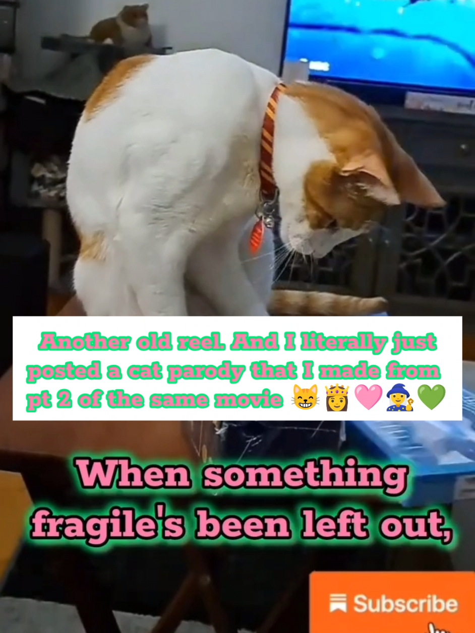 @Candice & Weasley