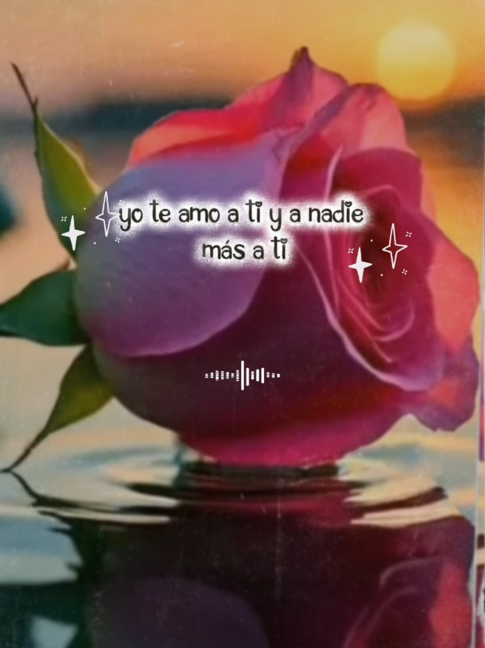 @♥️ 𝐹𝑒𝓁𝓎 ♥️