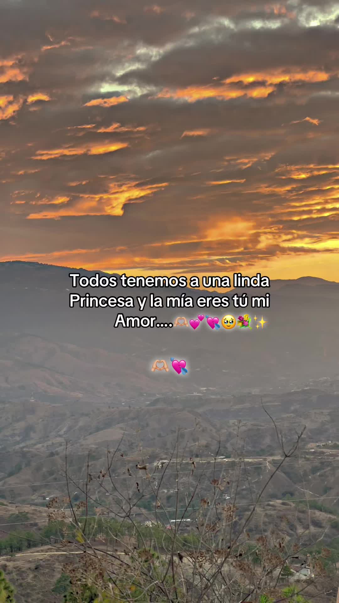@Oscar 