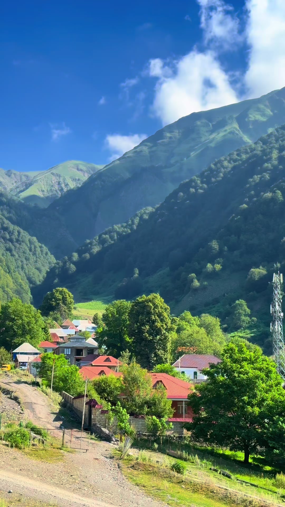 @𝑺.🇦🇿