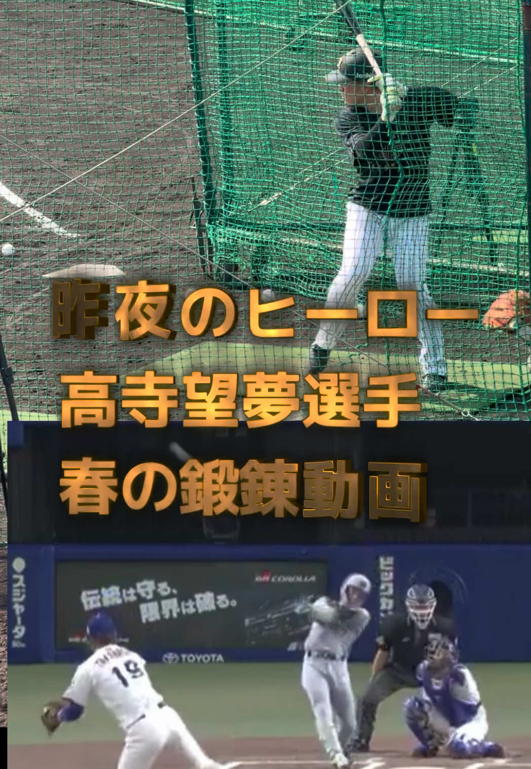 @なんでやねん佐々木🐅阪神youtuber🐅😎🗣️