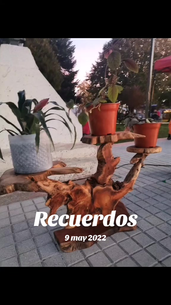 @Alejandro Aedo178