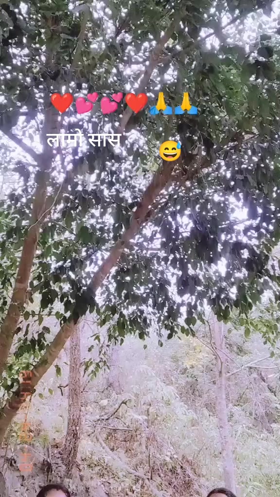 @Mina Adhikari