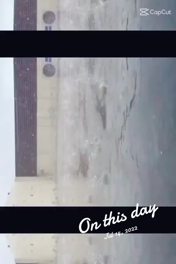 @𝕬𝖑𝖎 𝕶𝖍𝖆𝖓 𝕾𝖆𝖐𝖍𝖆𝖓𝖎