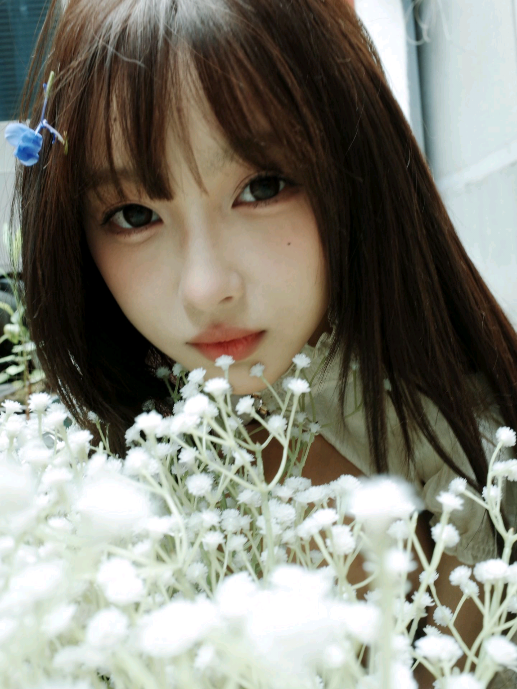 @🍁 王涵 🍁