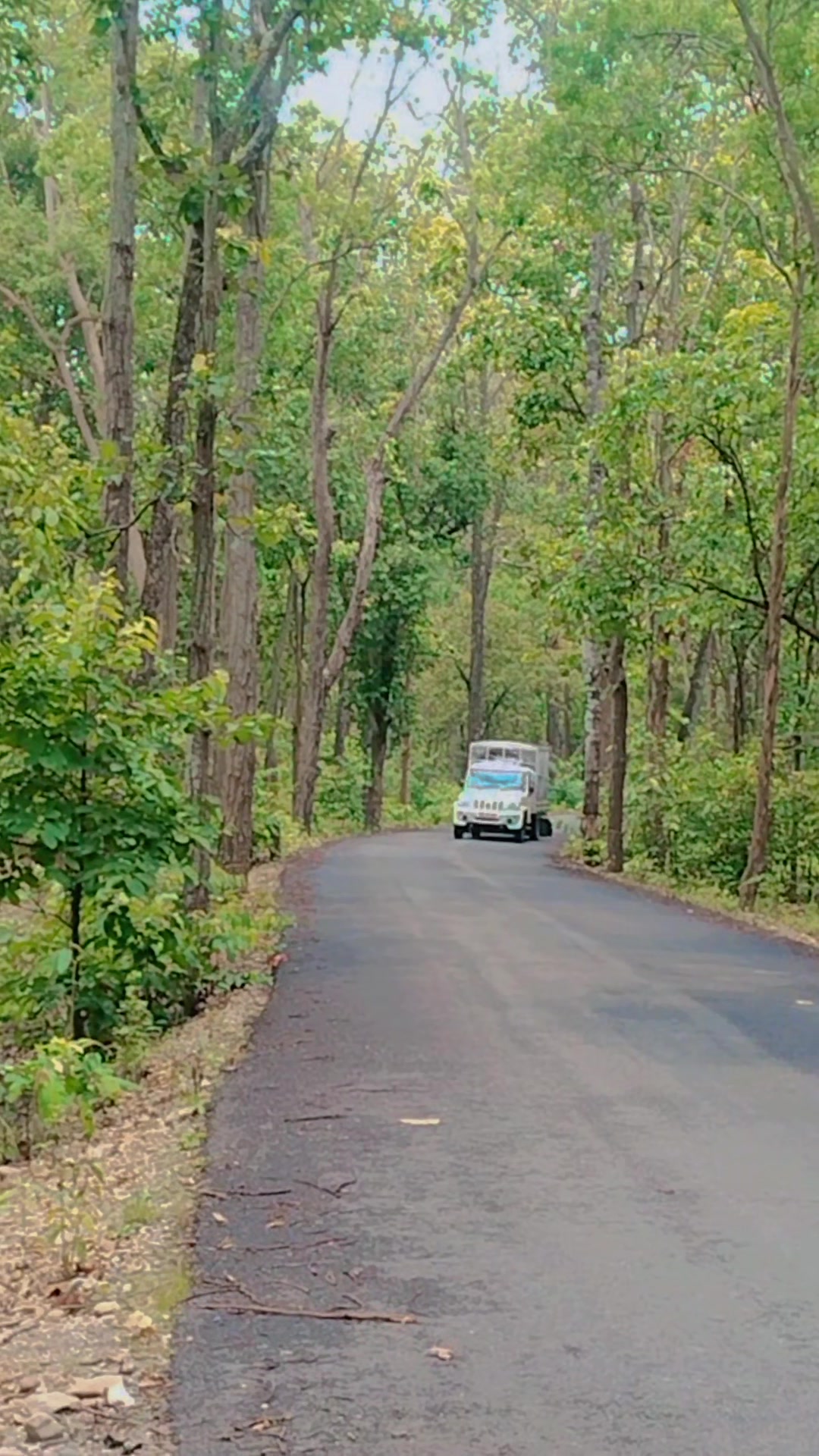 @Ryder Rajesh