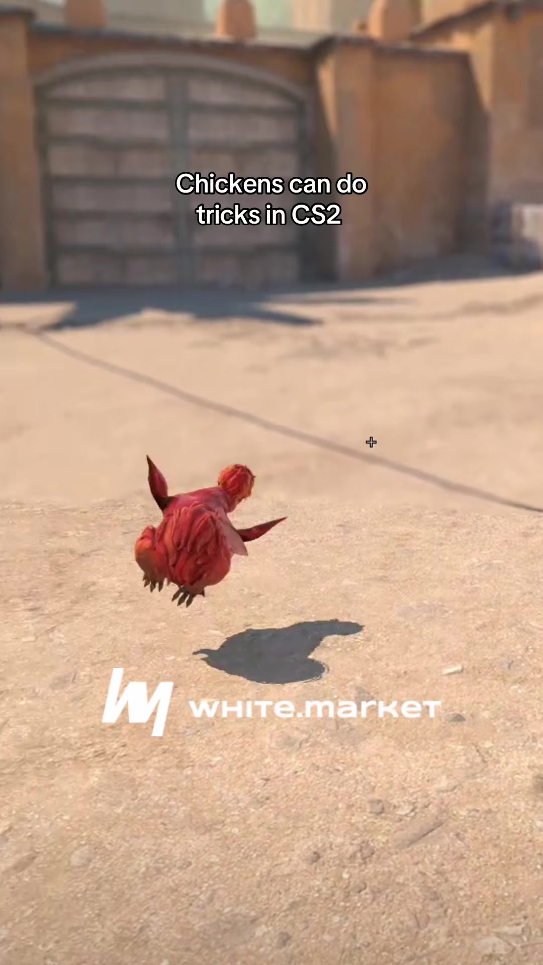 @CS2 white.market