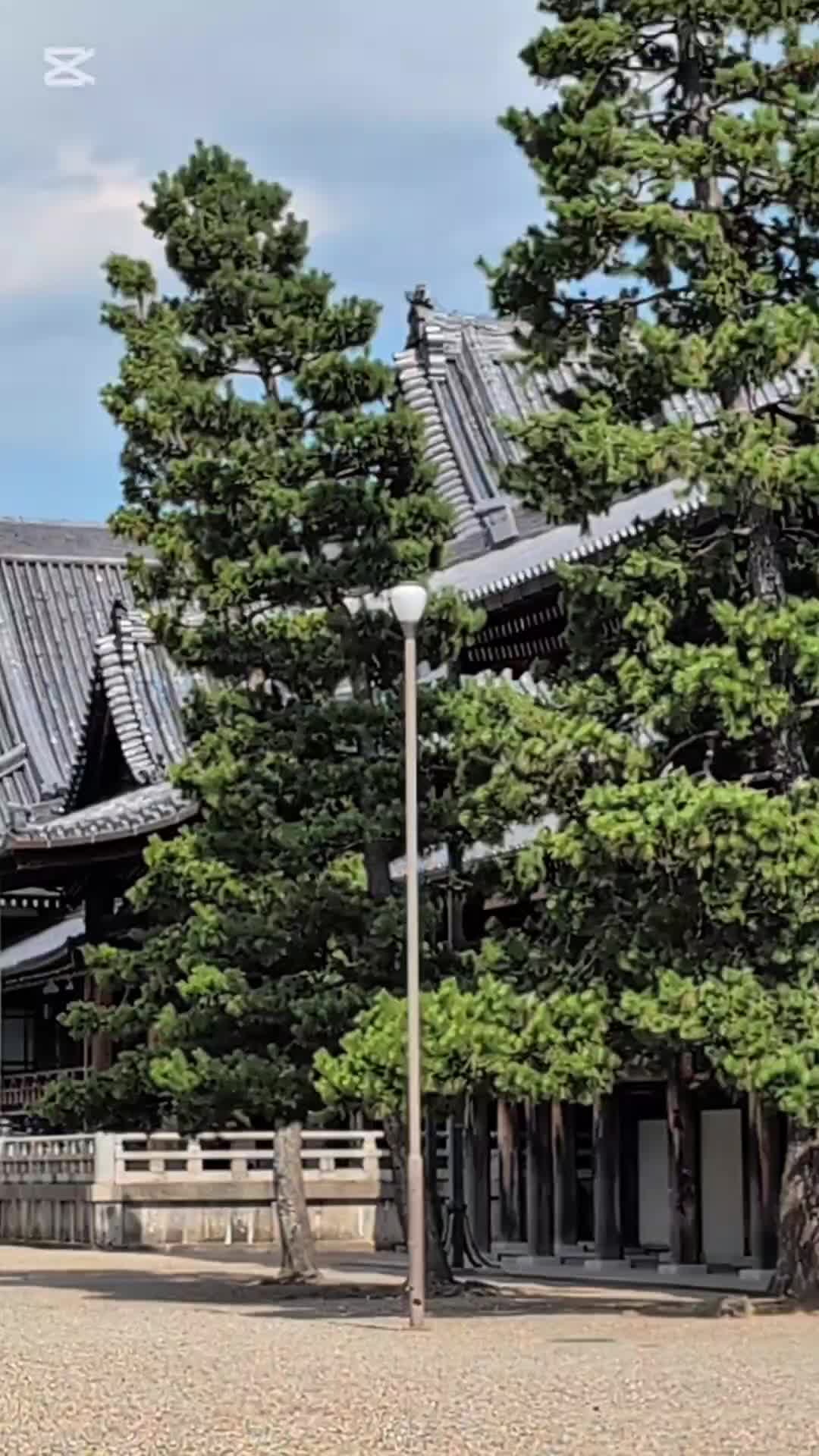 @バネ