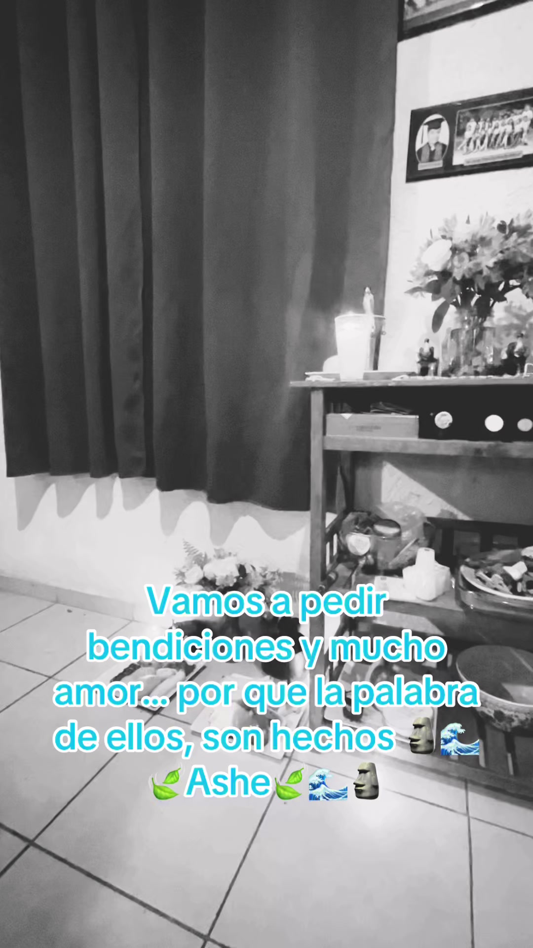 @Sara PL