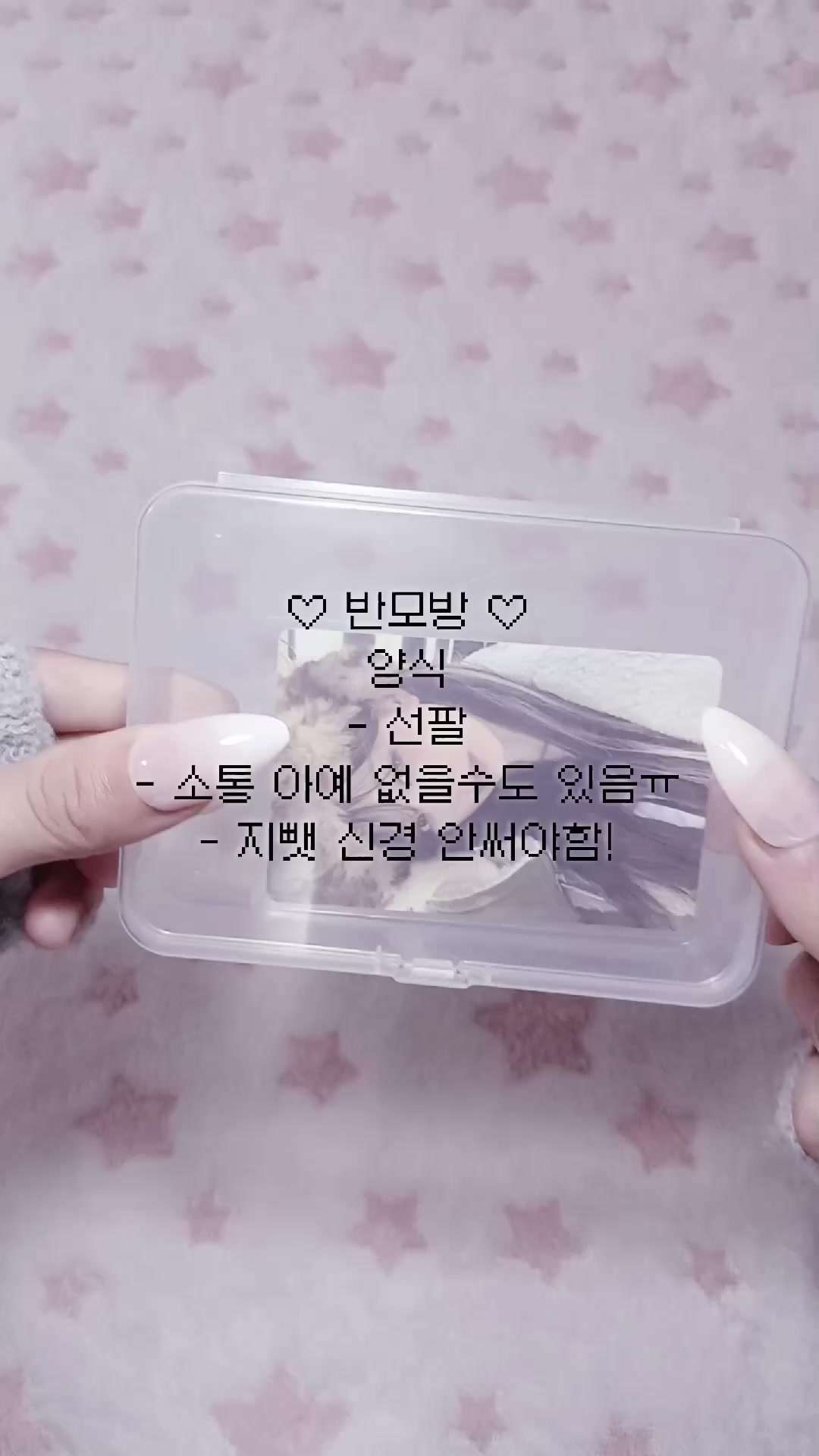 @온리쿠