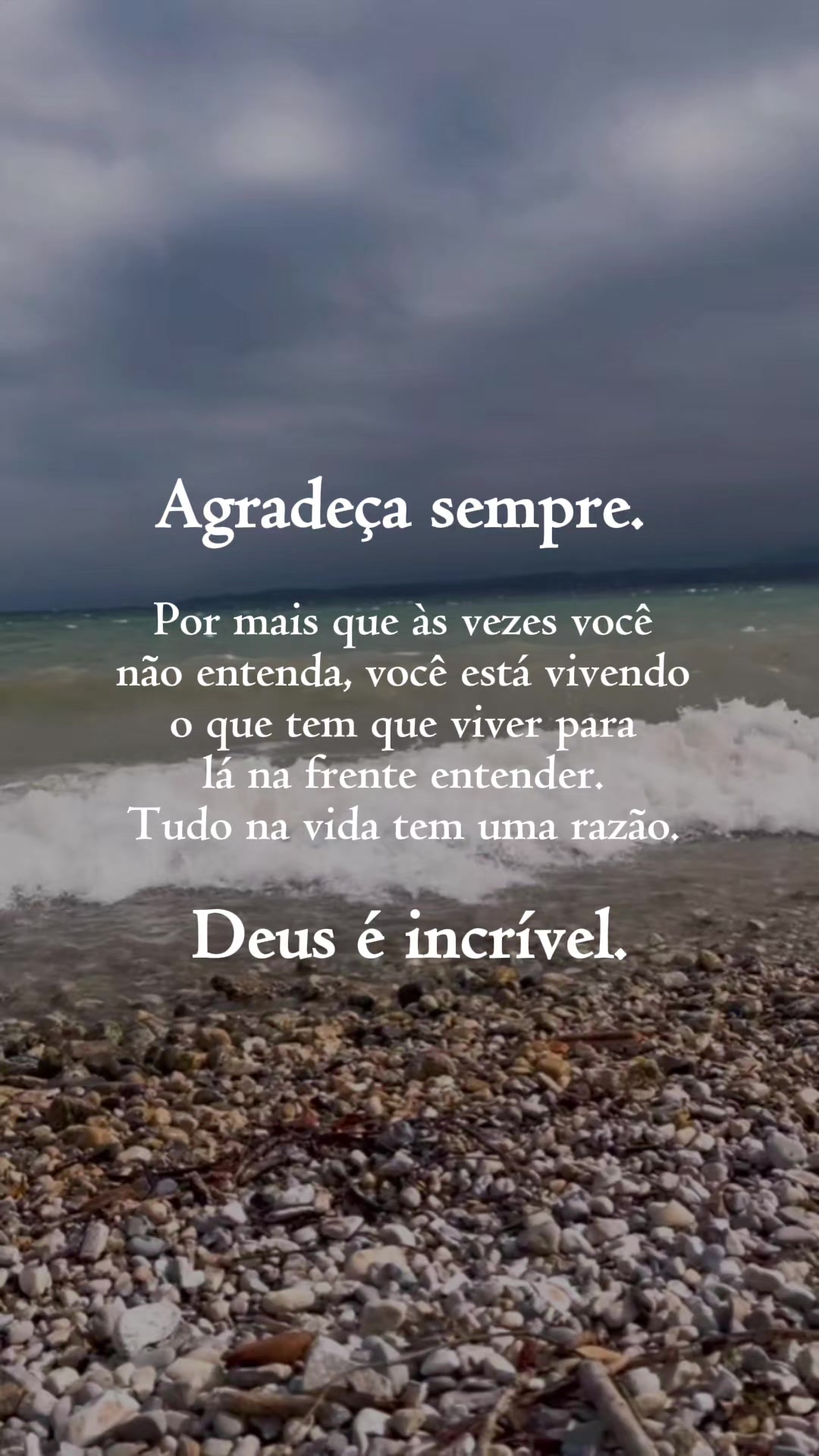@Celina Batista