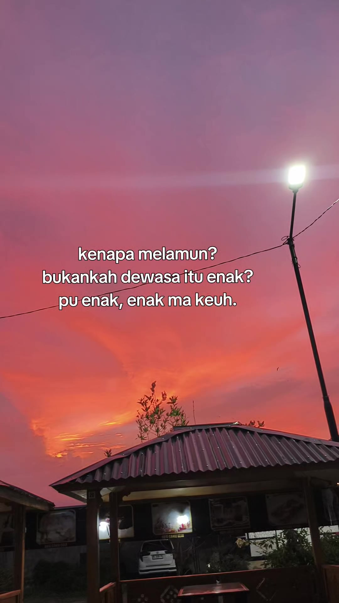 @ZUL_🕸