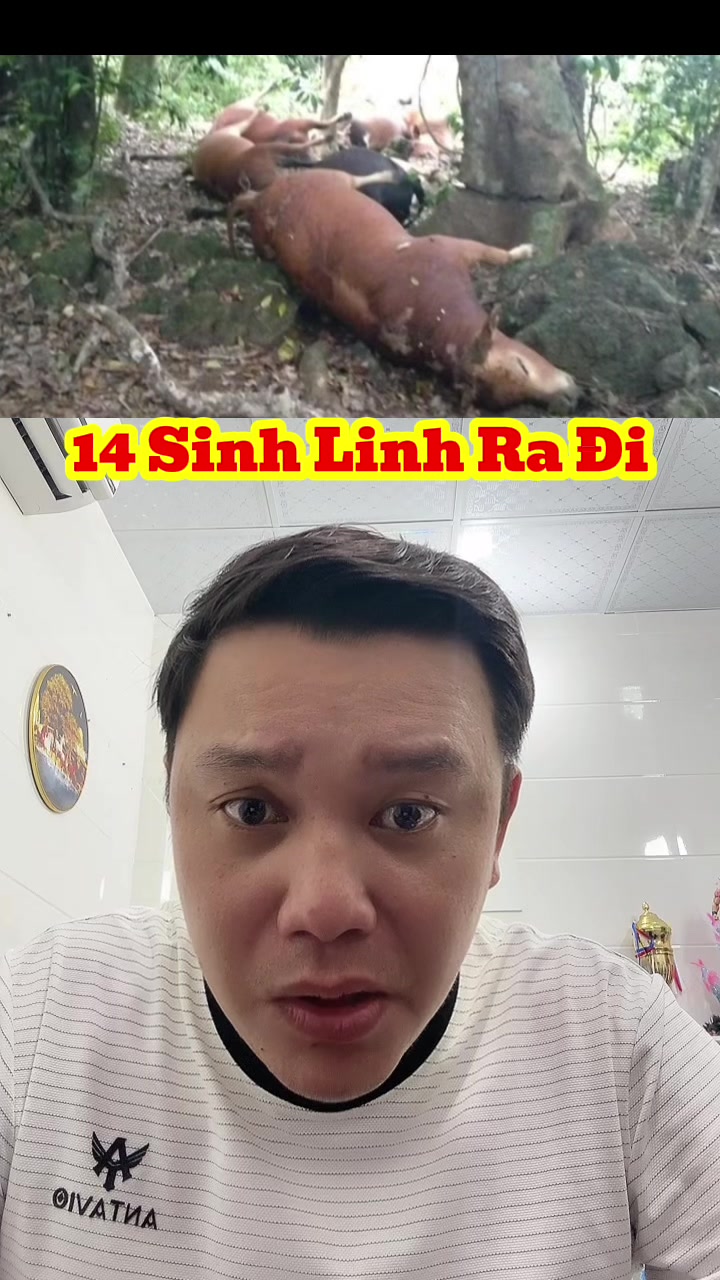 @Lang Tuấn Ê ✅