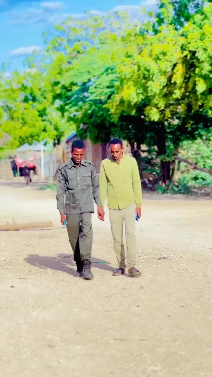 @maamulka degmada berdaale