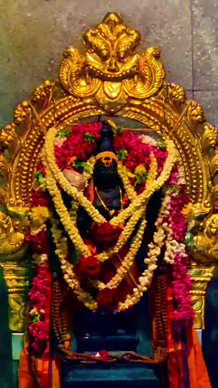 @⚜️🔱🕉️Vijay@விஜய்🕉️🔱⚜️