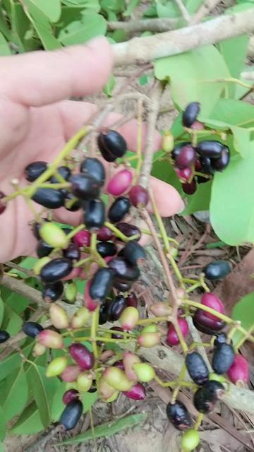 @Ngọc Điệp