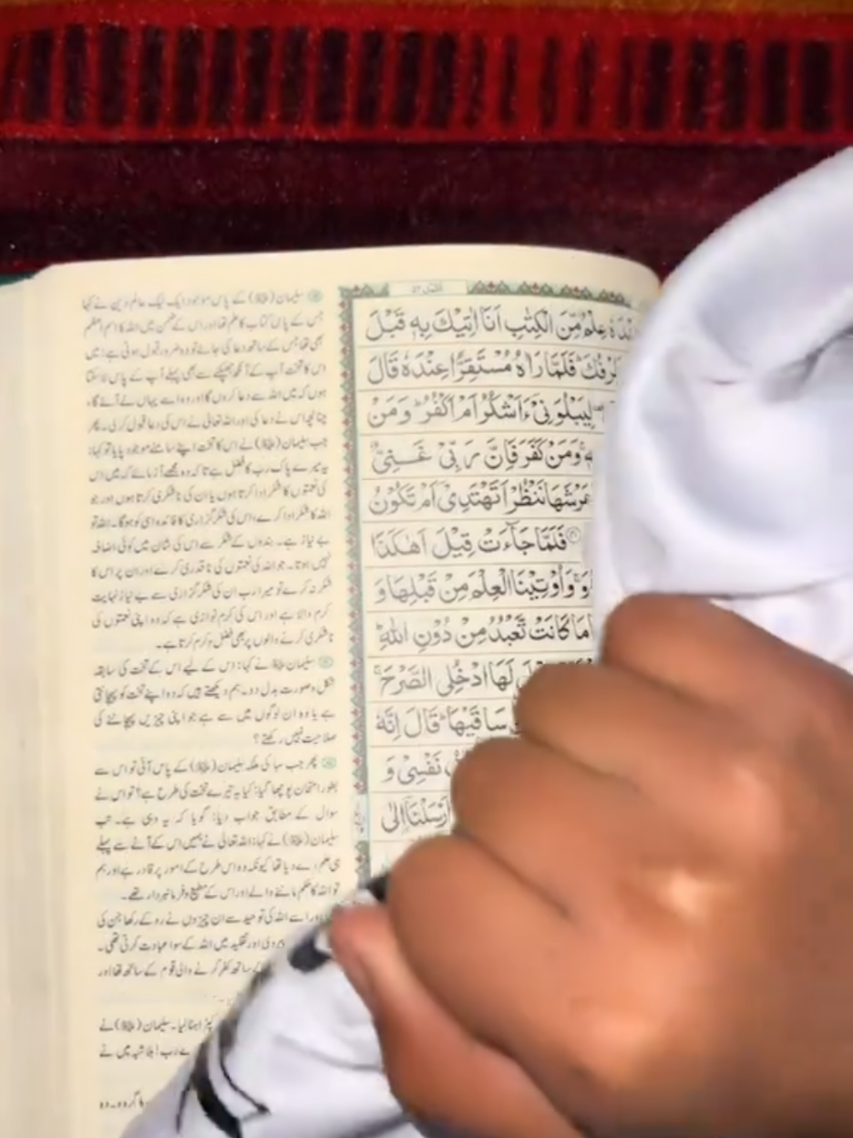 @Hijabi _queen 994 🧕