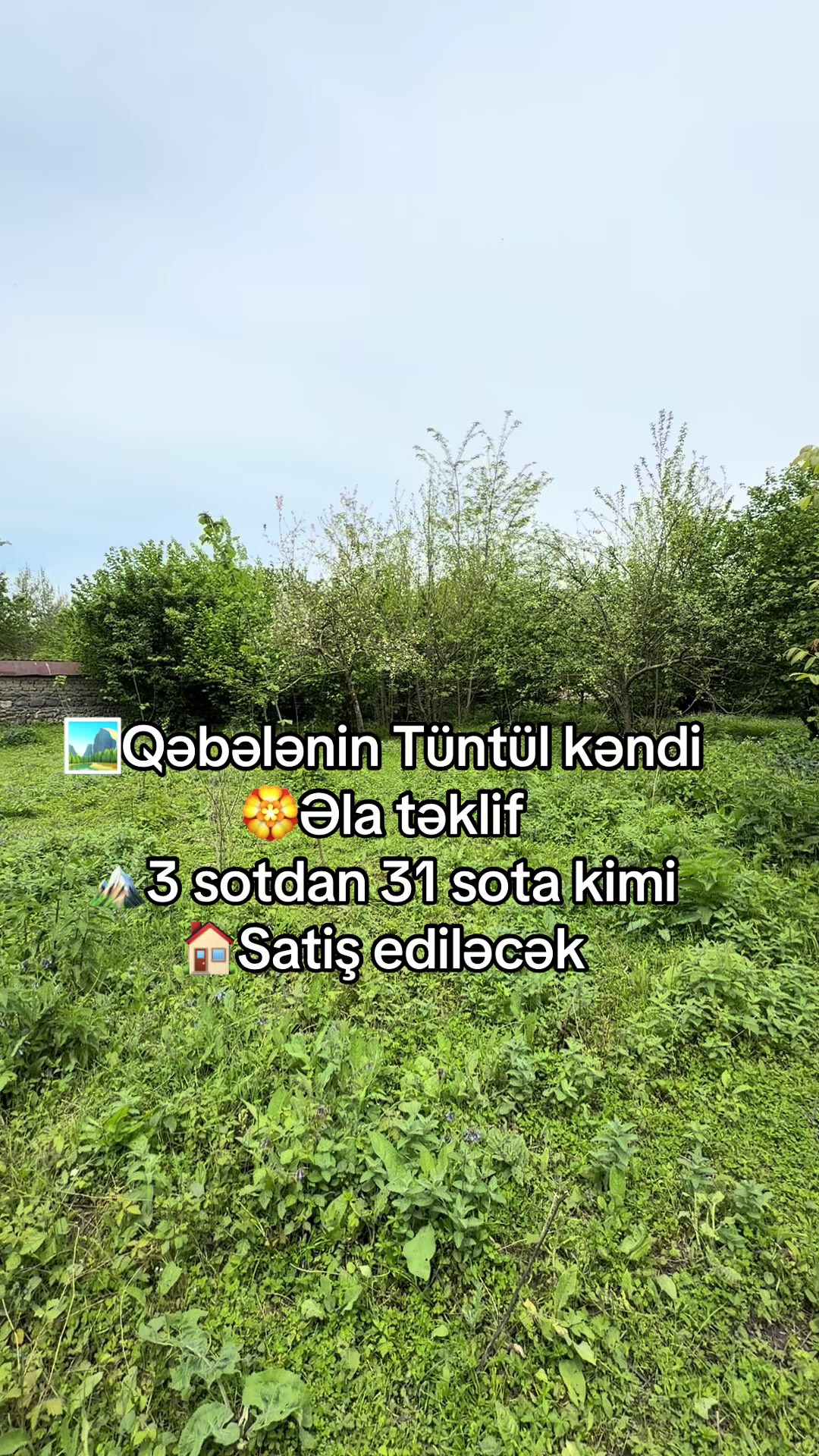 @Qəbələ Əmlak Ruzi