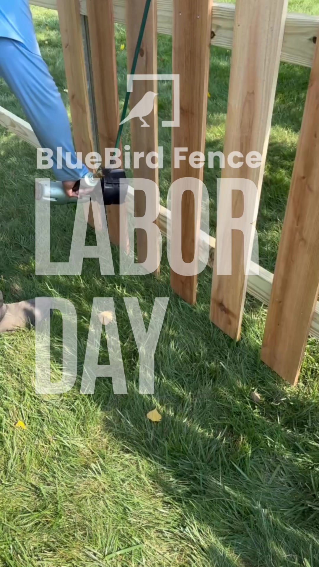 @BlueBird Fence