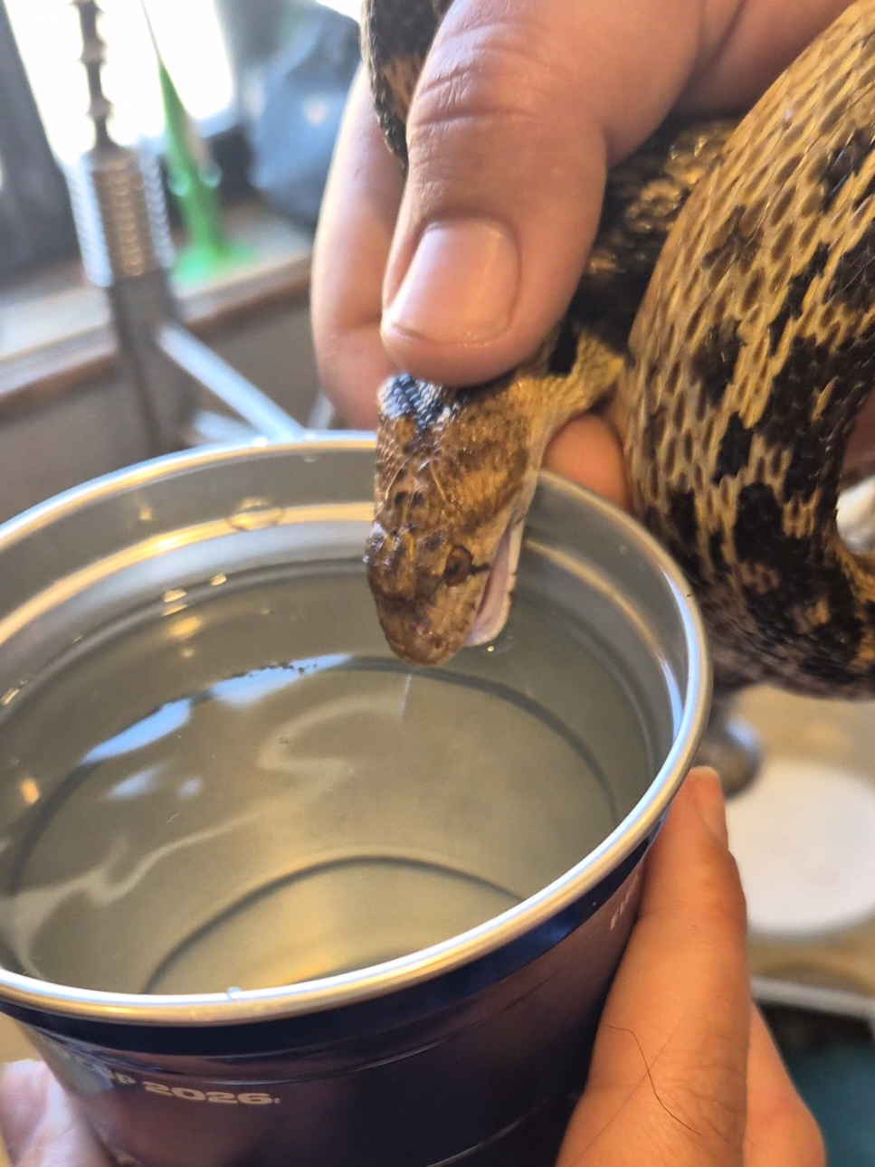 @Bruja Perfume Lab