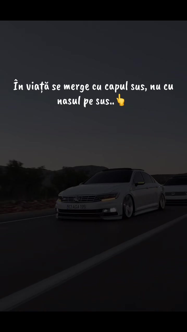 @α∂утzυ