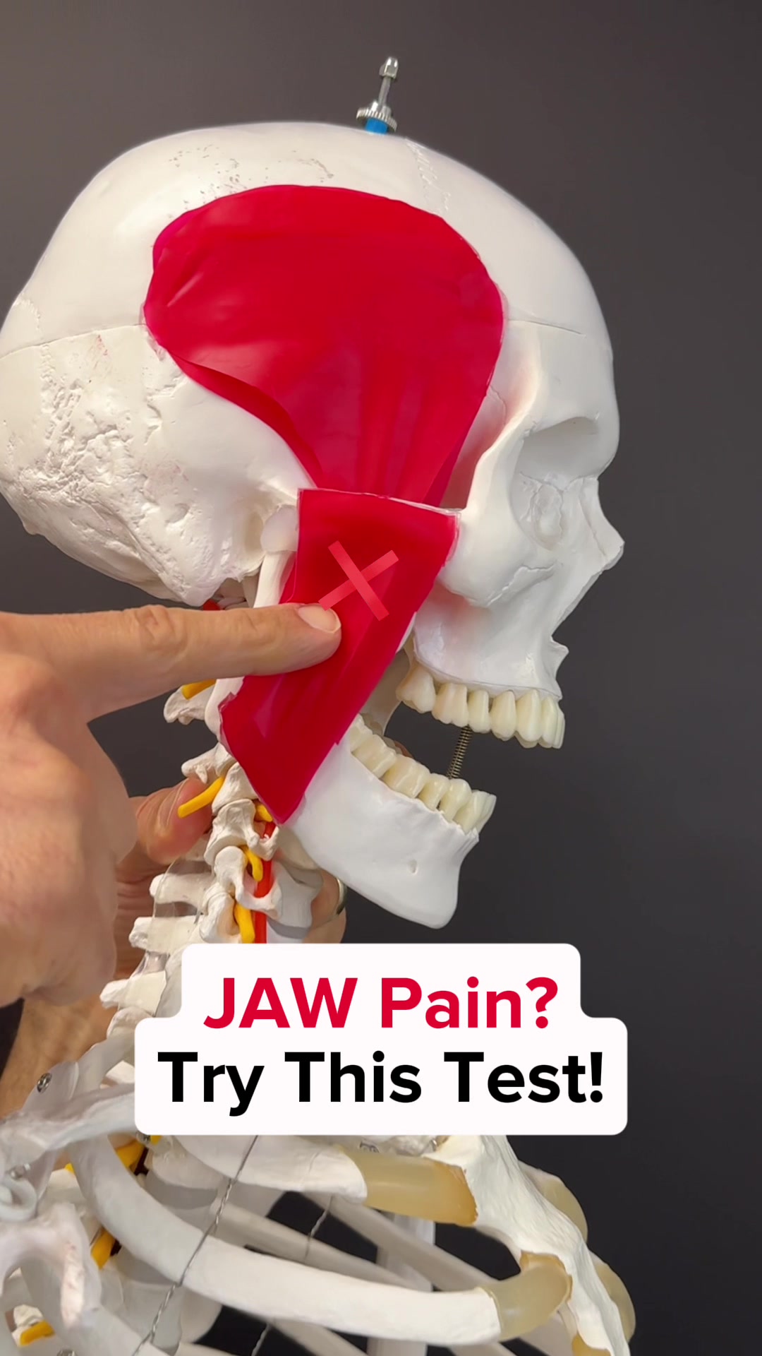 @Dr. Joe Damiani, DPT