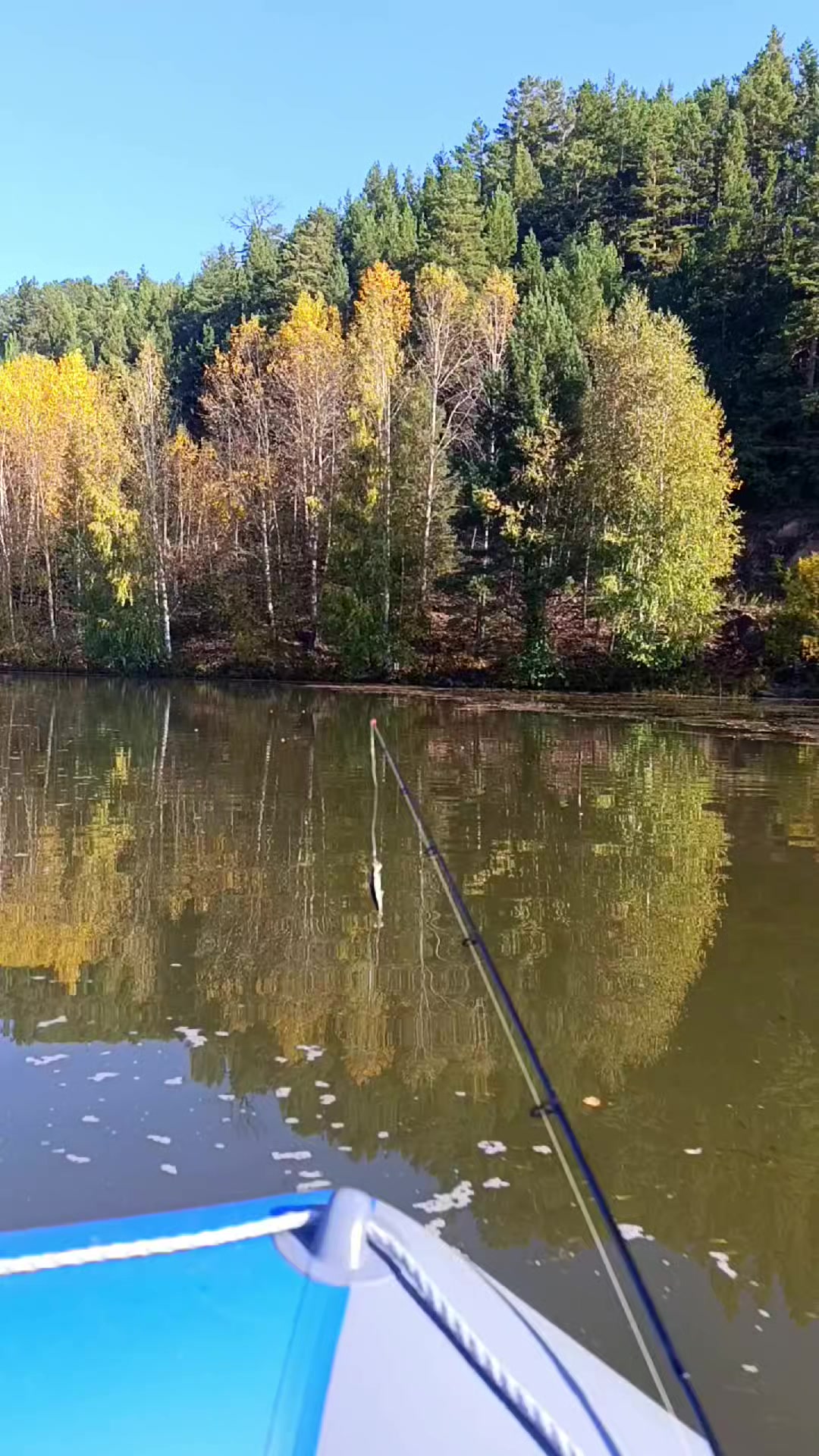 @Элодея