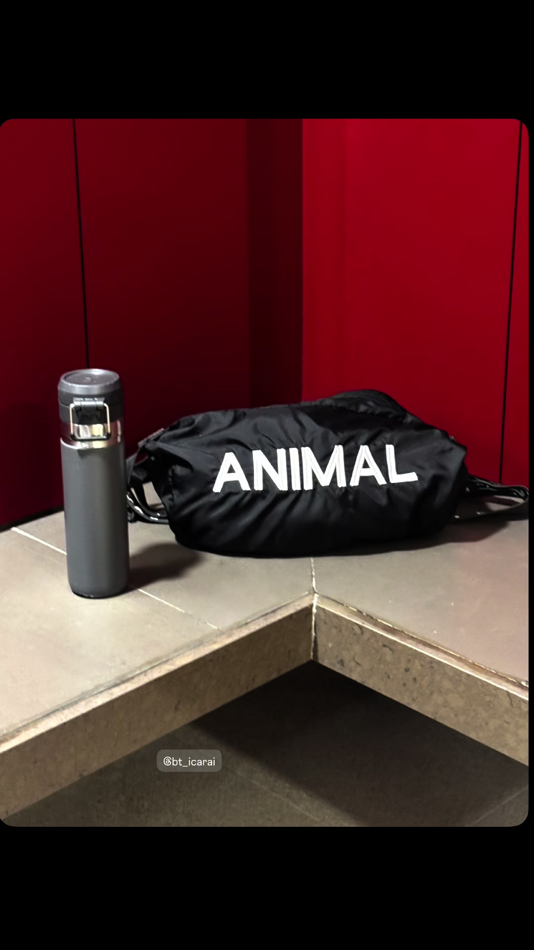 @VANDEKOLK ANIMAL