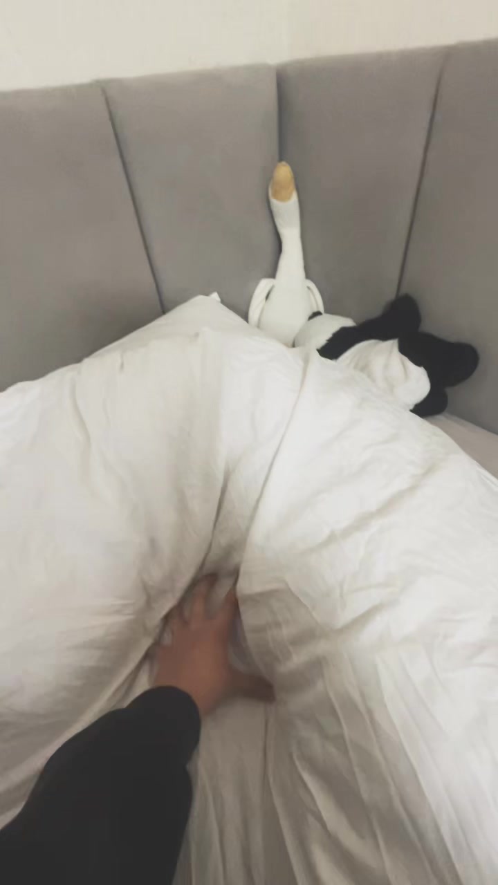 @ilashkaa🐈⬛💓