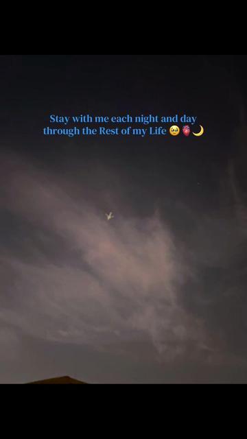 @🌙Shahadat Er' Bow 💍🤍🕊️