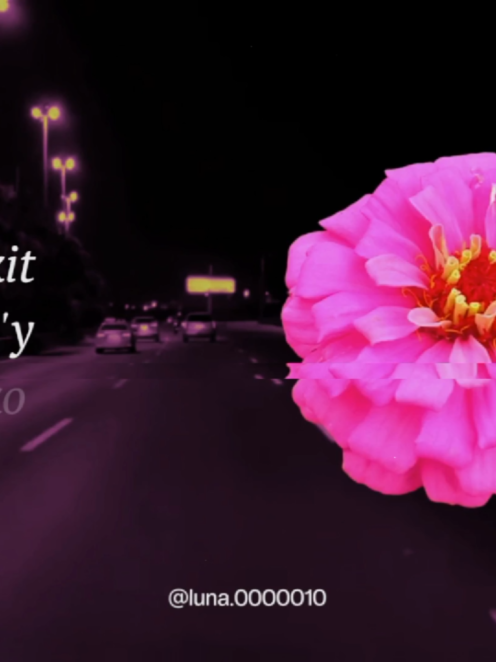 @L U N A ☾ ⋆