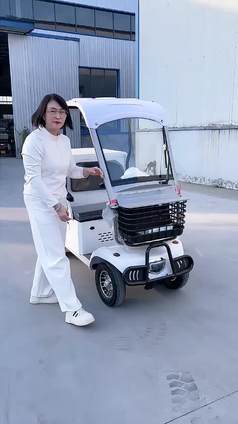 @mini bus_ev