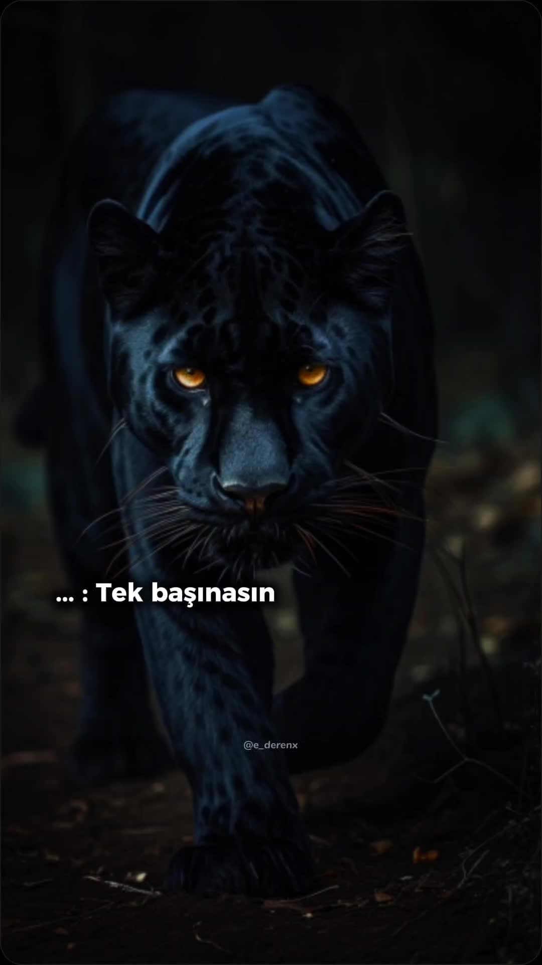 @~Özlem~