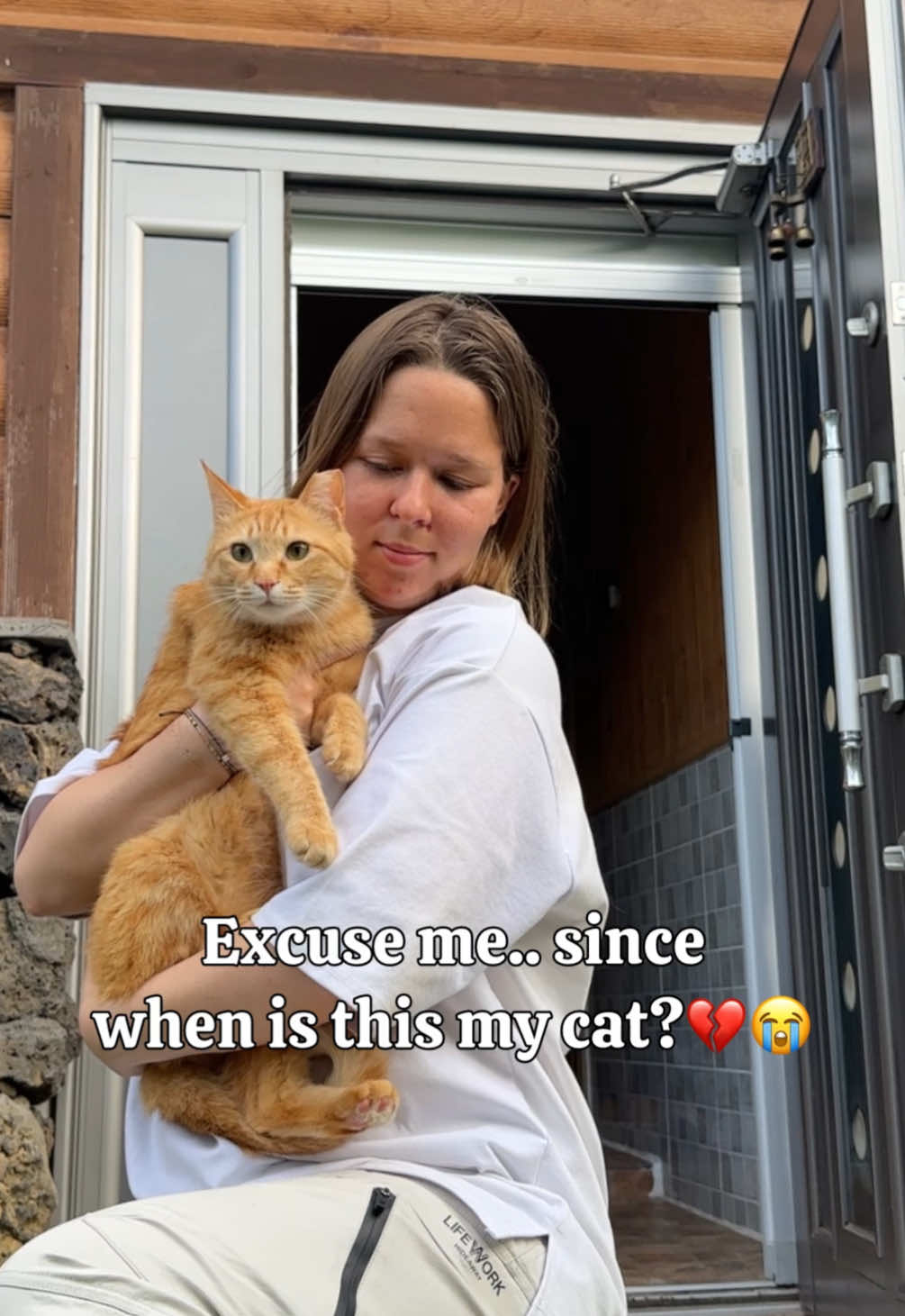 @MyStrayCheese