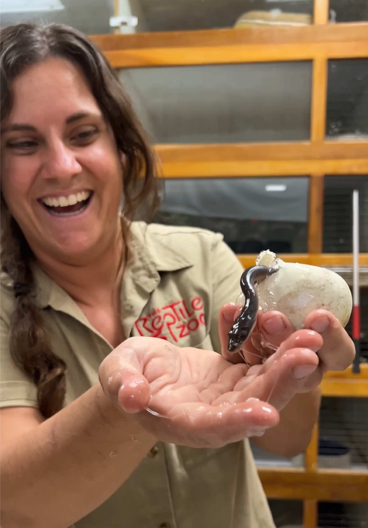 @The Reptile Zoo