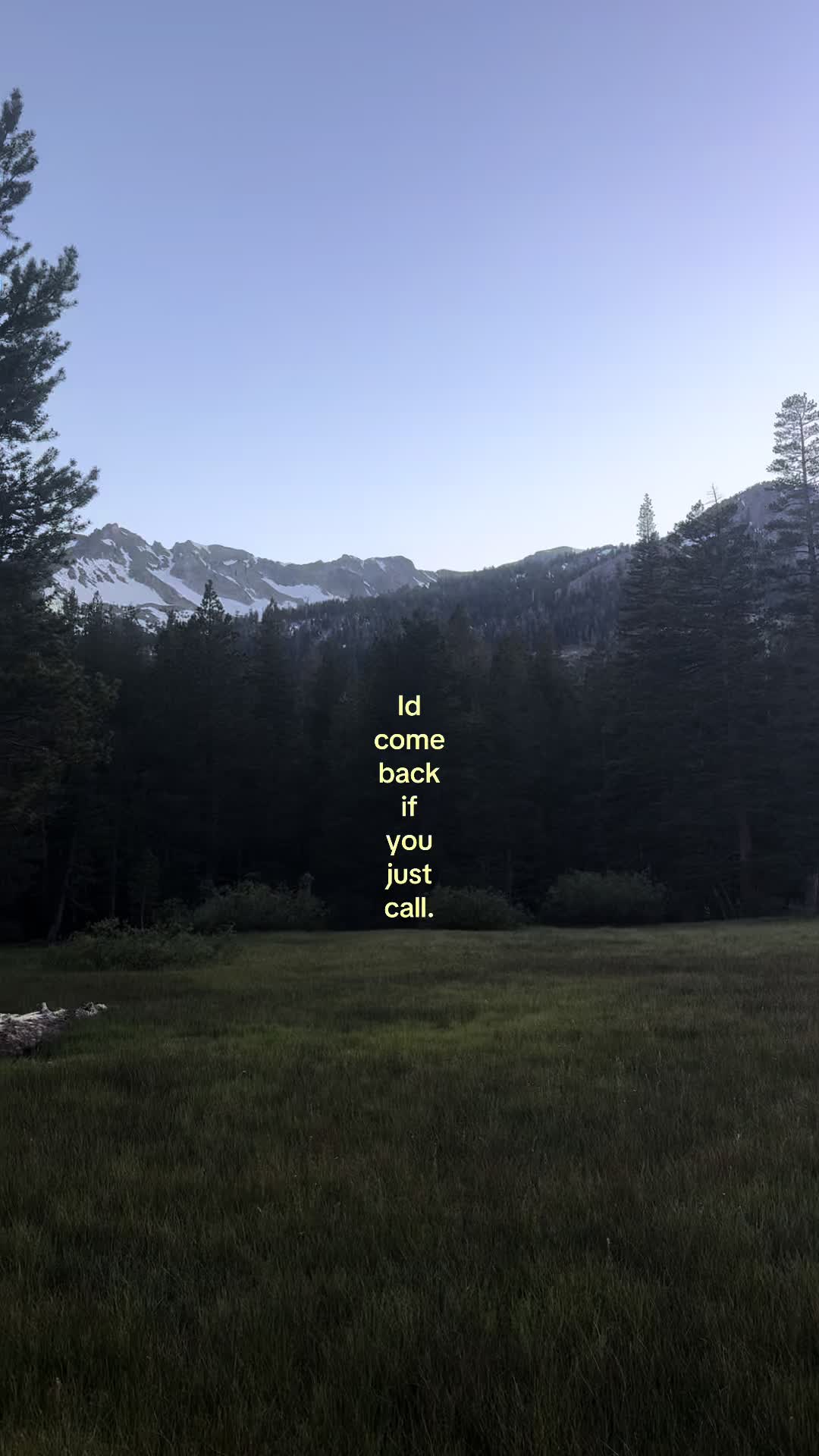 @deedee